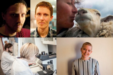 Nomineringar_Guldrattan_2016