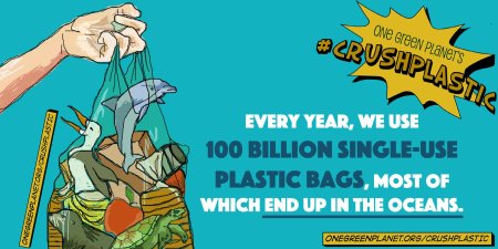 MarineAnimalsGroceryBag