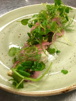 Grillad zucchini skuren på längden lagd på vitt fat med böncrème och picklad rödlök ovanpå