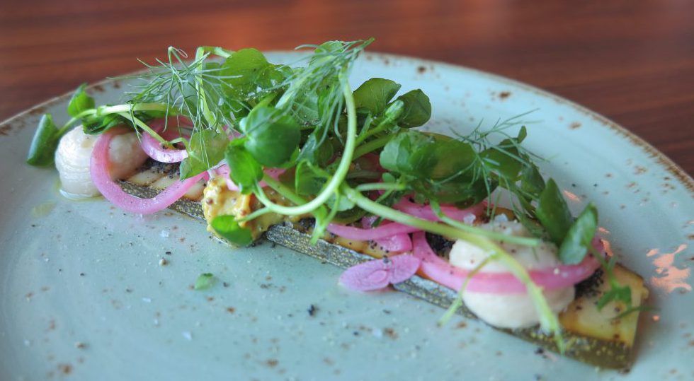 Grillad zuccini skuren på längden med creme och inlagd lök ovanpå