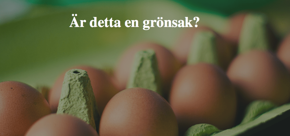 En grön äggkartong med tio bruna ägg i