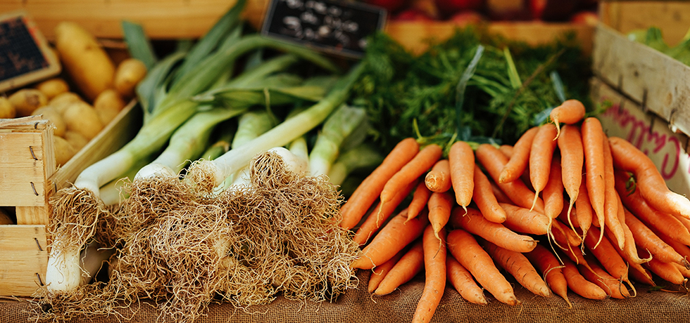 Purjolök och morötter på rad