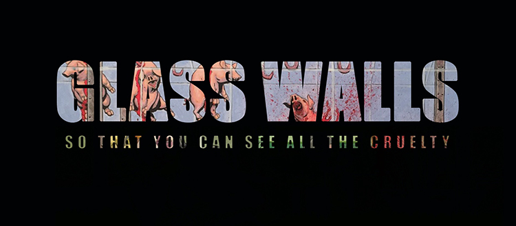 Texten Glass Walls sp that you can see all the cruelty mot svart botten