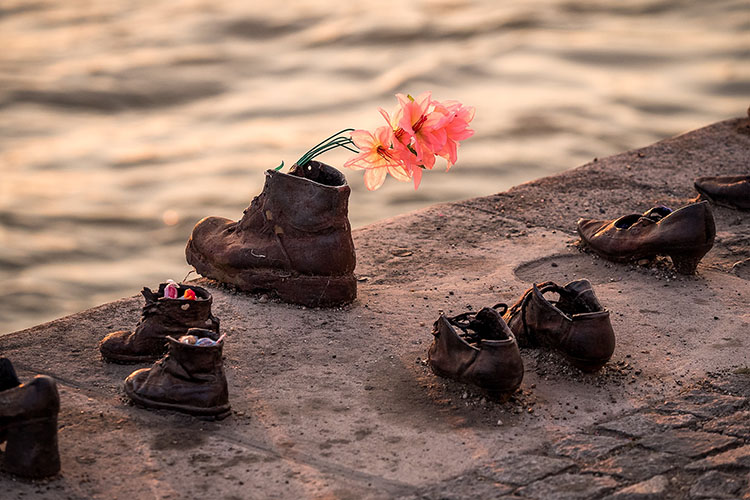 Skor på en mur, en blomma sticker upp ur en av dem