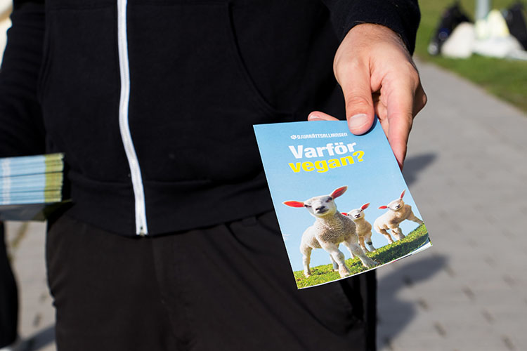 En hand håller fram en folder med texten Varför vegan?
