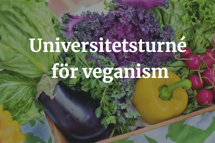 Grönsaker i en korg med texten Universitetsturné för veganism i vitt