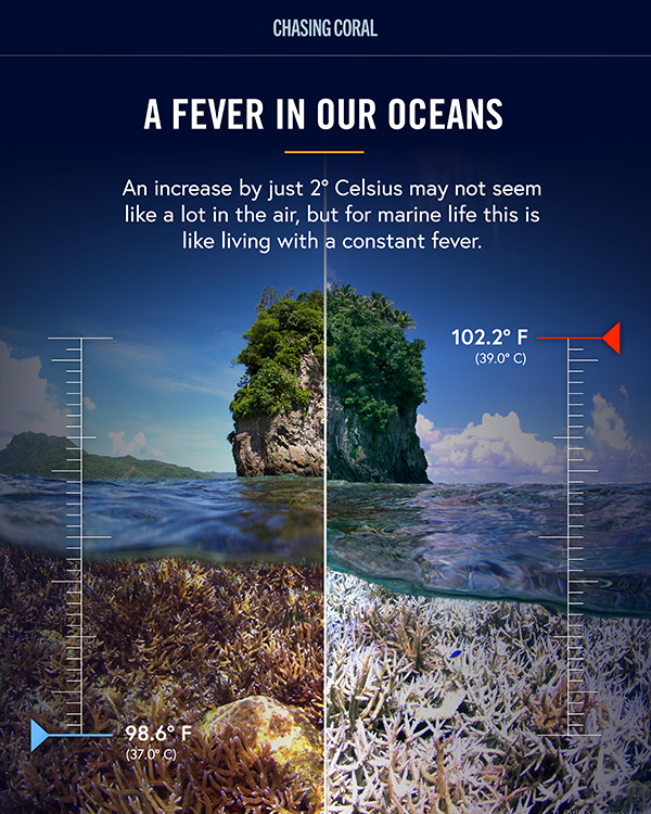 En bild där ena halvan visar levande havsmiljö och den andra samma vy men död